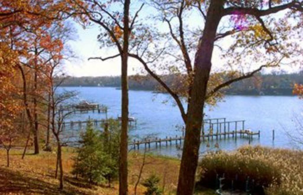Laurel Grove Inn Riva Quarto foto